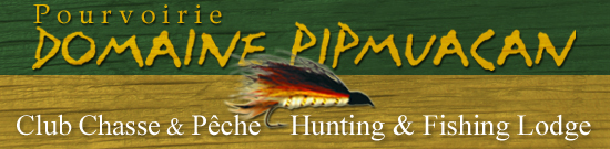 Retour  la page principale